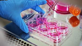 laboratory